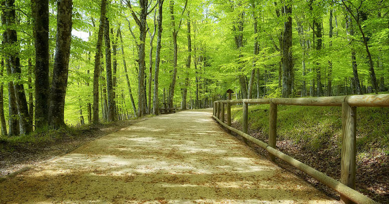 Sentiero di montagna, Itinerari Parco Nazionale del Gargano