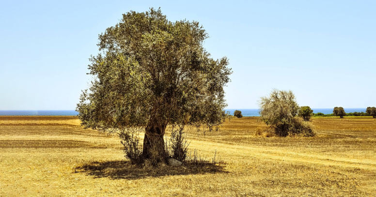 leggende sulla puglia